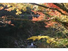 柏原渓谷の紅葉の写真1