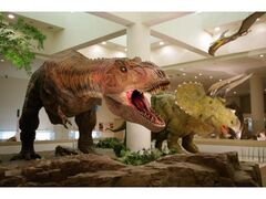 愛媛県総合科学博物館 開館記念イベントの写真1