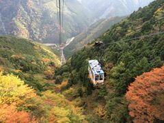 石鎚山の紅葉の写真1