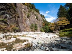 面河渓の紅葉の写真1