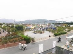 よしうみバラ公園の秋バラの写真1