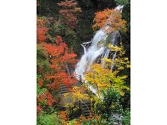 白滝公園の紅葉の写真1