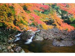 滑床渓谷の紅葉の写真1