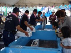 土佐さがのもどりガツオ祭の写真1