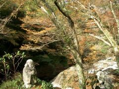 中津渓谷の紅葉の写真1