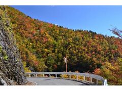 西熊渓谷の紅葉の写真1