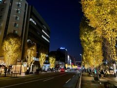 冬のファンタジー・はかたの写真1