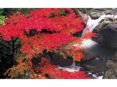筑紫耶馬溪の紅葉の写真1