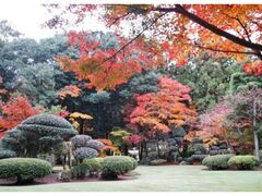麻生大浦荘 紅葉特別公開の写真1