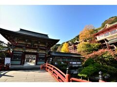 祐徳稲荷神社の紅葉の写真1