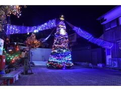 呼子 イカすクリスマスツリーの写真1