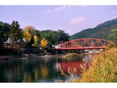 川上峡の紅葉の写真1