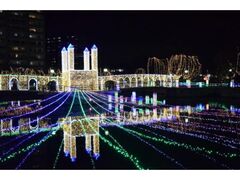 Heart Light Festaの写真1
