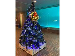 水族館のハッピークリスマスの写真1