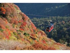 仁田峠展望所の紅葉の写真1