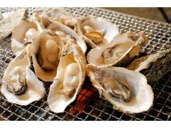 九十九島かき食うカキ祭り・秋の陣の写真1