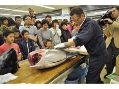 西海の恵 佐世保漁港お魚まつりの写真1