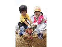 からいもフェスティバル in おおづの写真1