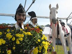 菊人形・菊まつりの写真1