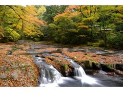 菊池渓谷の紅葉の写真1