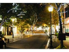 中心市街地イルミネーション「光のページェント」inくまもとの写真1