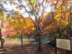 用作(ゆうじゃく)公園の紅葉の写真1