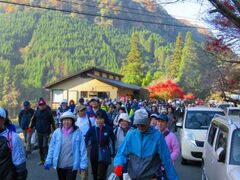 深耶馬ウオークの写真1