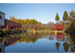 いいちこ日田蒸留所 紅葉祭の写真1