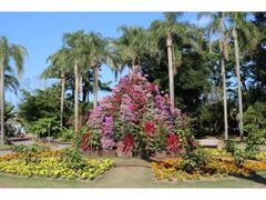 宮交ボタニックガーデン青島(県立青島亜熱帯植物園) 秋のフラワーショーの写真1