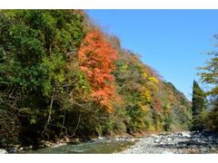 五ヶ瀬渓谷の紅葉の写真1