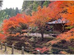 冠岳の紅葉の写真1