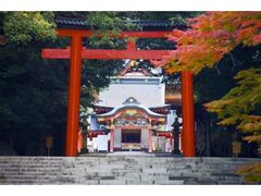 霧島神宮の紅葉の写真1