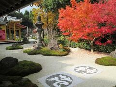 不動山青隆寺の紅葉の写真1