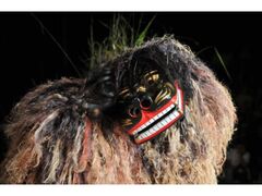 全島獅子舞フェスティバルの写真1