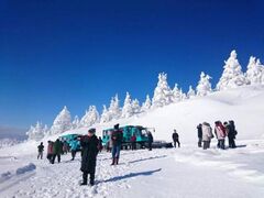 みやぎ蔵王の樹氷めぐりの写真1