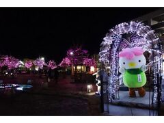 おばんなりスター★大河原☆(駅前イルミネーション)の写真1