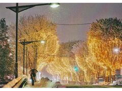 第19回シャイニングストリートプロジェクトの写真1