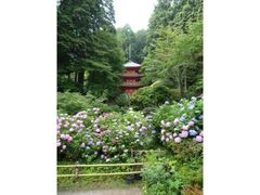 木津川市 秋の特別公開の写真1