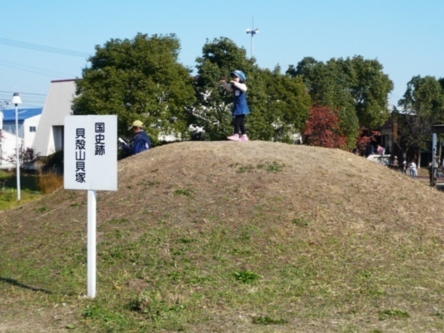 ウォーレンさんの史跡貝殻山貝塚交流館の投稿写真1