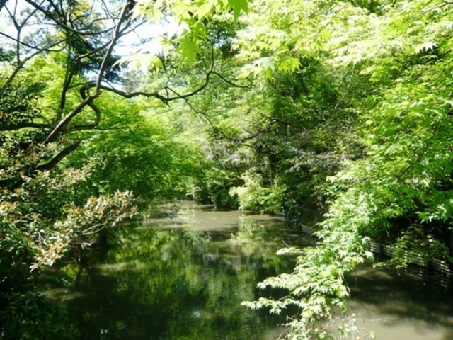 ウォーレンさんの阿自岐神社庭園の投稿写真1