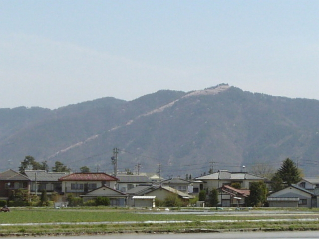 ひっちぃさんの光城山の桜の投稿写真1