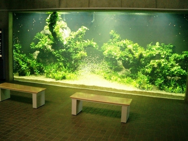 足立区生物園
