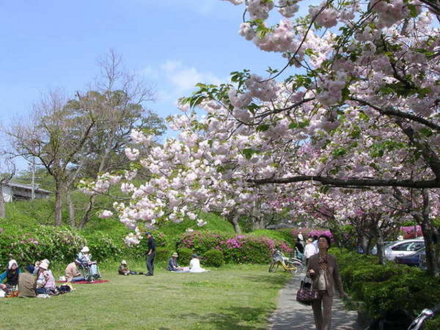 福岡市美術館
