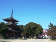 ウォーレンさんの甚目寺観音の投稿写真1