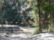 こじさんの八曽モミの木キャンプ場の投稿写真1