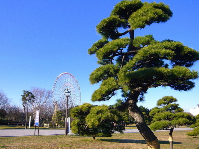 ダイヤと花の大観覧車