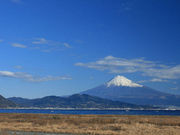 きゃらさんの三保海岸の投稿写真1