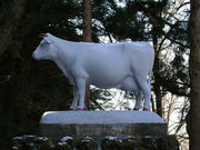 ヒゲダルマさんの真楽寺の投稿写真1