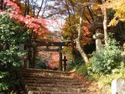 グッチーさんの諏訪神社の投稿写真1