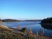 ウォーレンさんの入鹿池の投稿写真1